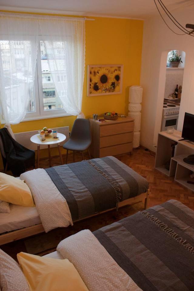 Ferienwohnung Bgmignonne, So Cozy, So Relaxing, So Near Center Belgrad Exterior foto